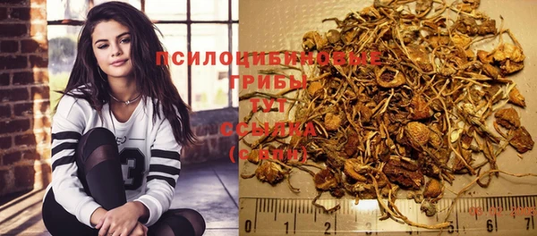 круглые Иннополис