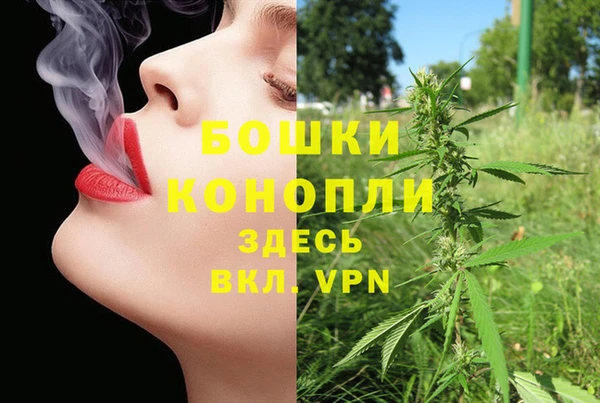 круглые Иннополис