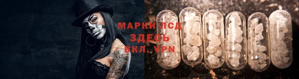 a pvp Инта