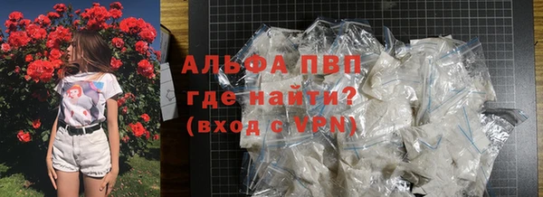 a pvp Инта