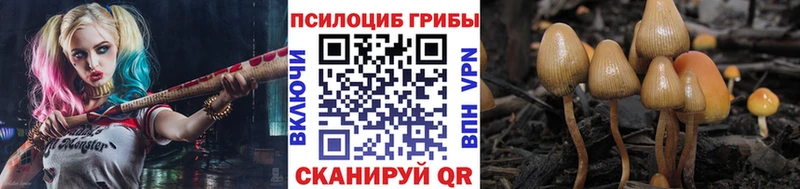 Галлюциногенные грибы мицелий  Купить  Ладушкин 